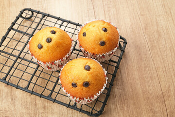 Delicious Vanilla Muffins with choco chips
