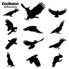 Cockatoo bird silhouettes vector illustration set.