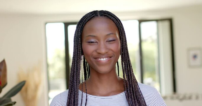 Portrait of happy african american woman with long braids smiling at home, slow motion