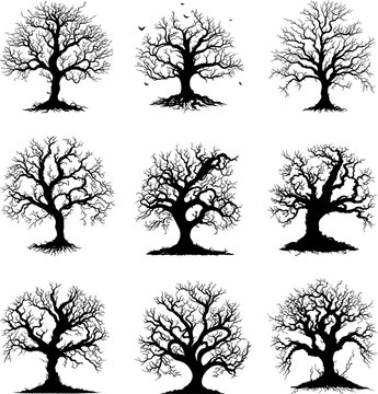 Black tree silhouette halloween vector. Old haunted tree with many branches suitable for halloween celebration design element on white background