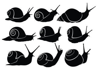 The set silhouettes of wild snails.  © designer_an