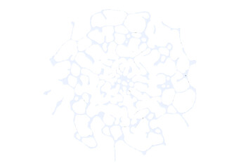 ウォーターイメージ