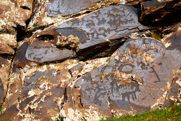 Petroglyphs on the rocks in Kazakhstan. The ancient parking cave man. Historical cave paintings. Carved on stone images of deer, goats and wolves. The development of ancient peoples.