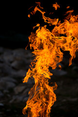 Flame of fire on black background. Fire close-up. Forest fires, burning trees. Firewood by the fireplace.