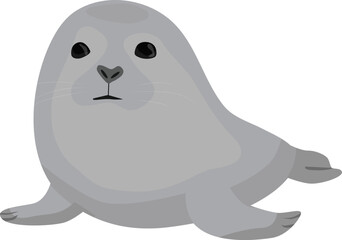 animal, seal, fur seal vector illustration