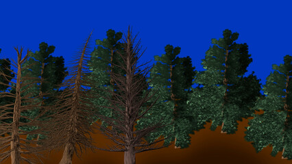 graphic illustration of a fir forest