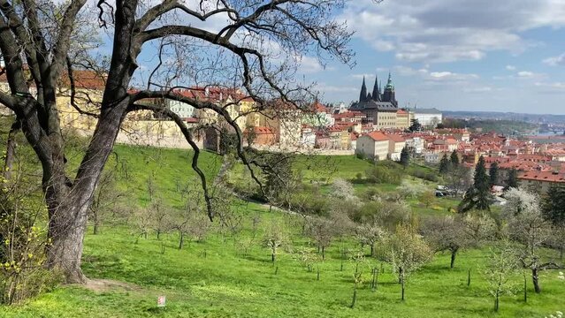 View of the Prague Castle from gardens under the Petrin lookout tower