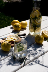 Fresh, icy citrus lemonade made from lemon and mint. Low-calorie, sugar-free summer lemonade. Naturally prepared lemonade. Photo taken with natural light.