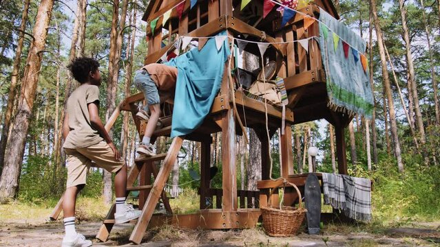 Low angle full shot of elementary age African American and Caucasian boys hiding inside wooden treehouse in forest at daytime
