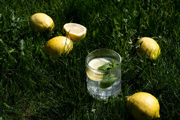 Fresh, icy citrus lemonade made from lemon and mint. Low-calorie, sugar-free summer lemonade....