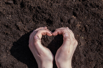 A woman holding earth nds and prepare for planting, selective focus. Earth day, ecology and environment concept. Pepper seedling in the ground. Green plant sprout. Horizontal photo.