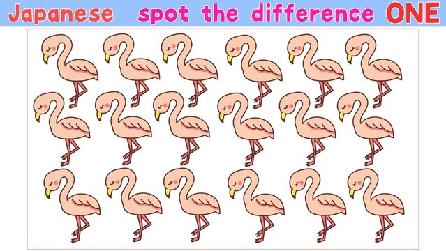 spot the difference