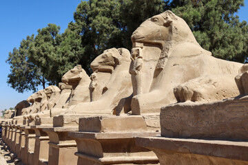 statue of the sphinx in sequence at Egypt temple