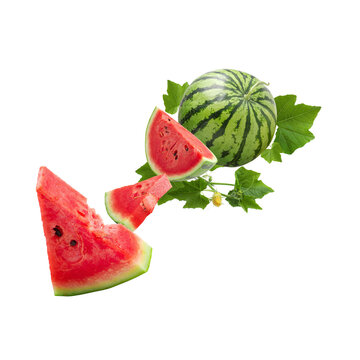 watermelon fruit with cut down half and sliced and leafe