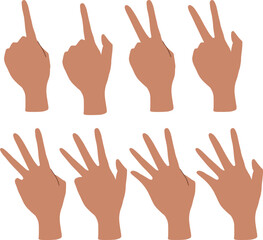 hand drawn illustration set of hand gesture. Hand showing number counting, on white background isolated vector illustration