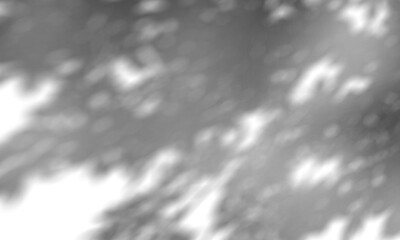 Shadow overlay effect transparent background. Abstract sunlight background with organic shadows from plants, leaves, and branches.
