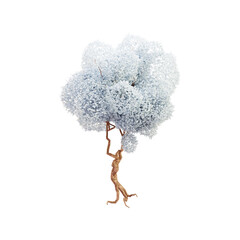 A bonsai tree with a branch and the roots of the tree. 3d illustration. On white background