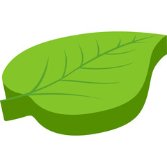 Fototapeta premium 3d Leaf