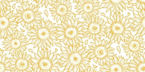 Fototapeta na wymiar Seamless pattern with sunflower on a white background