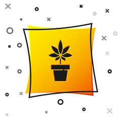 Black Medical marijuana or cannabis plant in pot icon isolated on white background. Marijuana growing concept. Hemp potted plant. Yellow square button. Vector Illustration