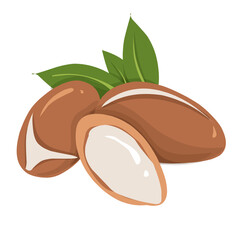 Argan Illustration, cosmetic ingredients