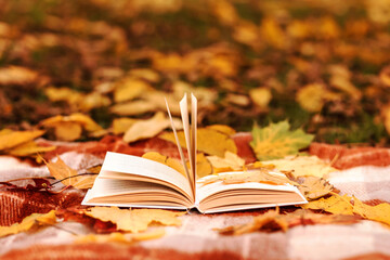 Autumn Book with Yellow Fallen Autumn Leaves Background. World Book Day. Autumn Background.