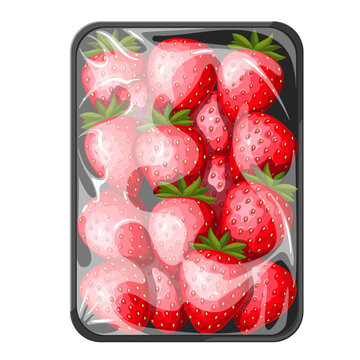 Strawberry pack vector illustration. Cartoon isolated raw red berry fruit in plastic tray and transparent polyethylene film wrapping for storage in supermarket, top view of sweet strawberry in package