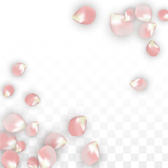 Pink Vector Realistic Petals Falling on Transparent Background.  Spring Romantic Flowers Illustration. Flying Petals. Sakura Spa Design. Blossom Confetti. Design Elements for Wedding Decoration.