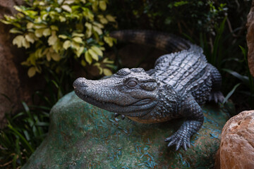 fake green alligator lying in the swamp
