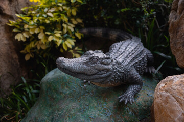 fake green alligator lying in the swamp