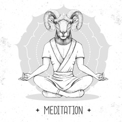 Hand drawing hipster animal ram or mouflon meditating in lotus position on mandala background. Vector illustration