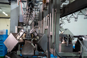 High-tech poultry production facility with modern machinery, ensuring safe and efficient meat processing with strict hygiene and sanitation control