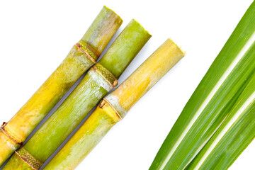 Sugar cane on white background.