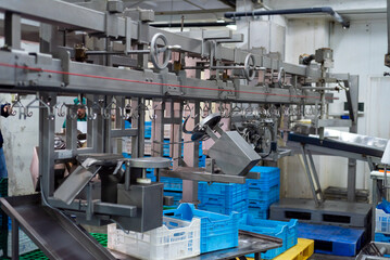 Large poultry farm processing workshop with automated conveyor systems, ensuring high-quality production, efficient packaging, and strict hygiene standards