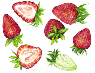 Watercolor set of red juicy strawberries with leaves isolated on transparent background. Fruit print. For postcards, packages, postcards, logo, desserts. Summer sweet and bright fruits and berries