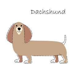 Dachshund . Cute dog cartoon characters . Flat shape and line stroke design . Vector illustration .