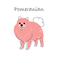 Pomeranian . Cute dog cartoon characters . Flat shape and line stroke design . Vector illustration .