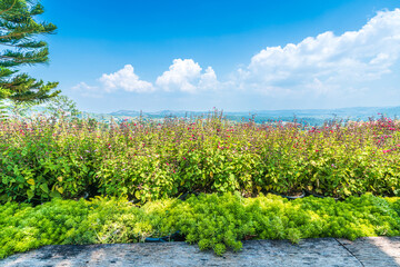 Fototapeta na wymiar Panoramic high view mountain range on Nature Trail in Khao Kho National Park in Phetchabun,Thailand, blue sky background texture with white clouds