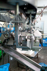 Large poultry farm processing workshop with automated conveyor systems, ensuring high-quality production, efficient packaging, and strict hygiene standards