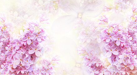 Floral pink spring background. Background of lilac flowers. A postcard for a holiday, anniversary, celebration. Nature.