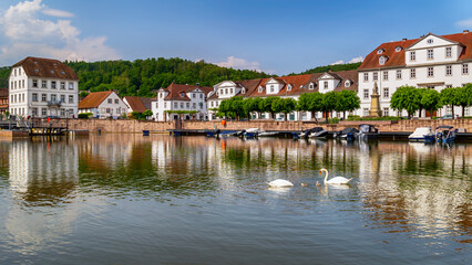 Schwäne im Barockhafen