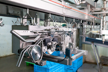 Large poultry farm processing workshop with automated conveyor systems, ensuring high-quality production, efficient packaging, and strict hygiene standards