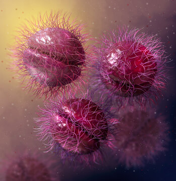Medical background, genus bacteria from the Neisseriaceae family, Gonococcus species of Gram-negative diplococcus of the genus Neisseria, Cause gonorrhea anthroponotic venereal infection, 3d rendering
