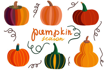 Pumpkin bright set hand drawn vector icons