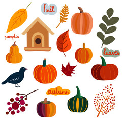 Autumn pumpkin set hand drawn