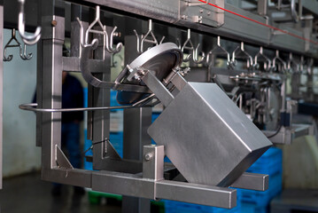 Large poultry farm processing workshop with automated conveyor systems, ensuring high-quality...