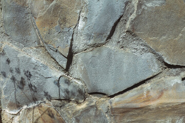 A fragment of an old gray wall with the shadow of a plant on it. Stone background. Bumpy stone surface.