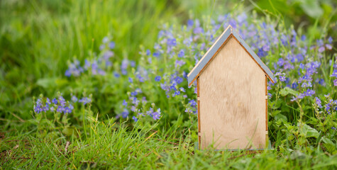 Fototapeta na wymiar House in a meadow with purple flowers, buying or renting a home in nature, real estate concept 