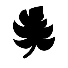 illustration of a leaf vector 