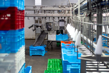 Large poultry farm processing workshop with automated conveyor systems, ensuring high-quality production, efficient packaging, and strict hygiene standards